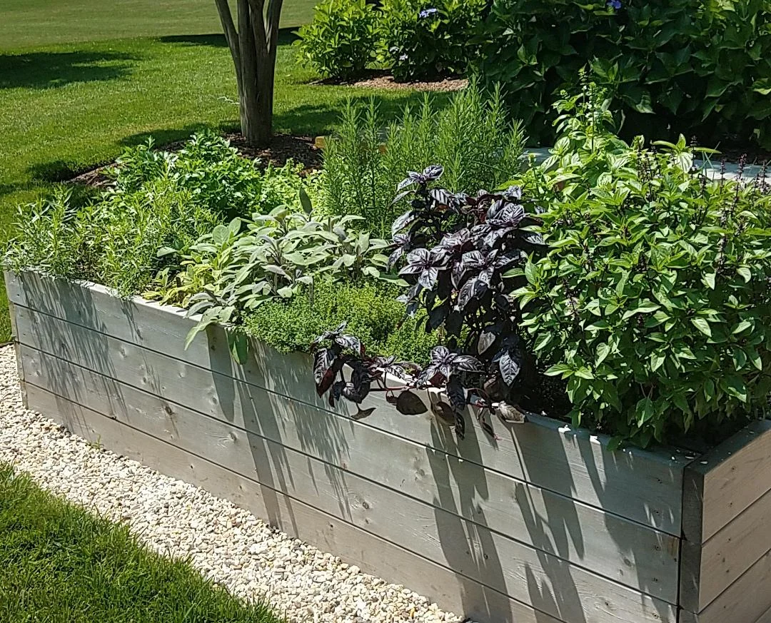 ゆ 90×150 ハトメ4ヶ所 Cedar 4'Wx8'Lx2'H Raised Bed — COFTT